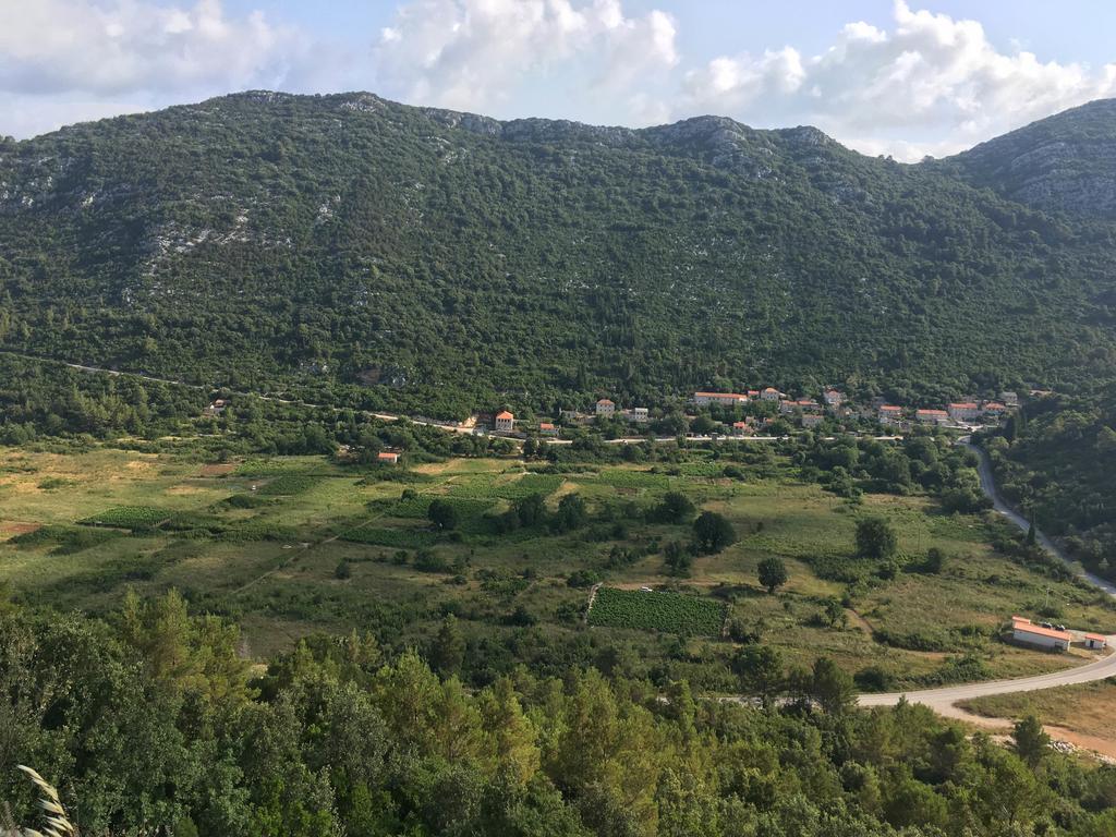 Apartments Dora Mljet Kozarica ภายนอก รูปภาพ